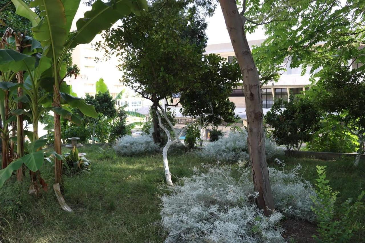 Hotel Ceka ดูร์เรส ภายนอก รูปภาพ